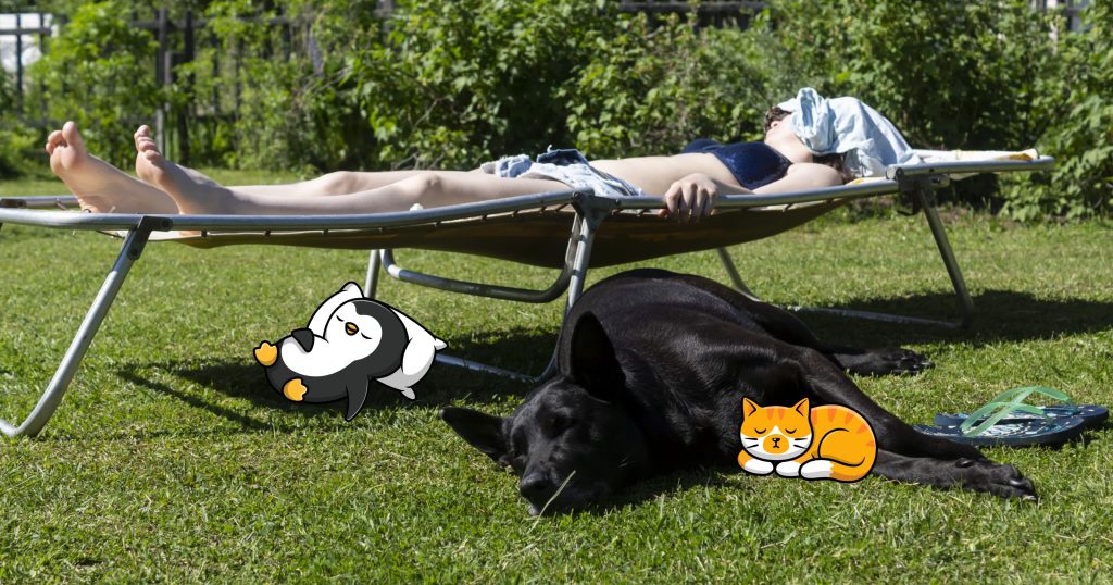 How Big Are Cot Beds? Cot Mattresses? Duvet Covers? SleepAnimal