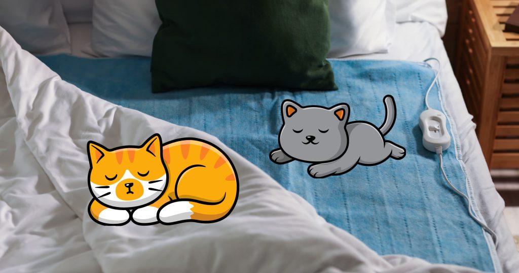 Biddeford Heated Blankets Features, Safety, and Care Guide SleepAnimal