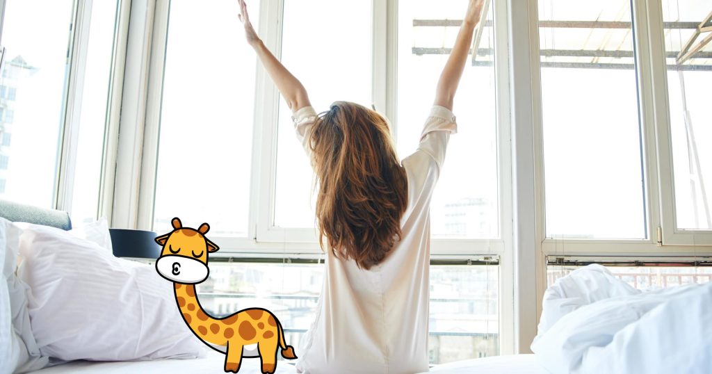 Ultimate Guide to Texas King Beds Dimensions, Benefits, and Frame