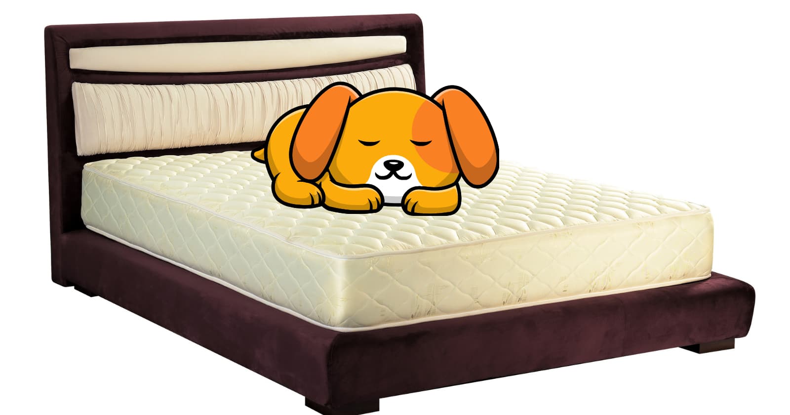 Exploring Bunkie Board Costs and Selection Tips Your Ultimate Guide