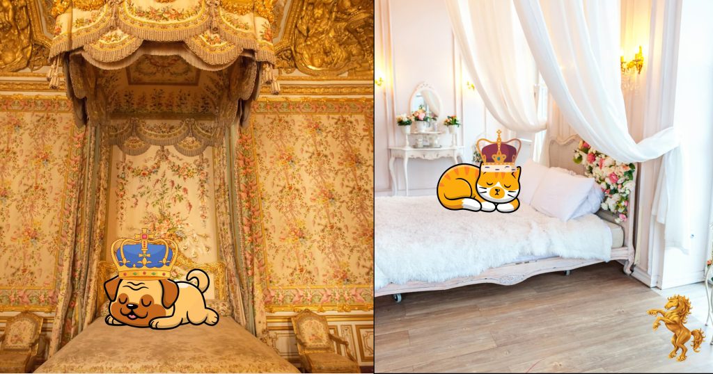 King vs Queen Size Beds Finding Your Best Match for Comfort and Space