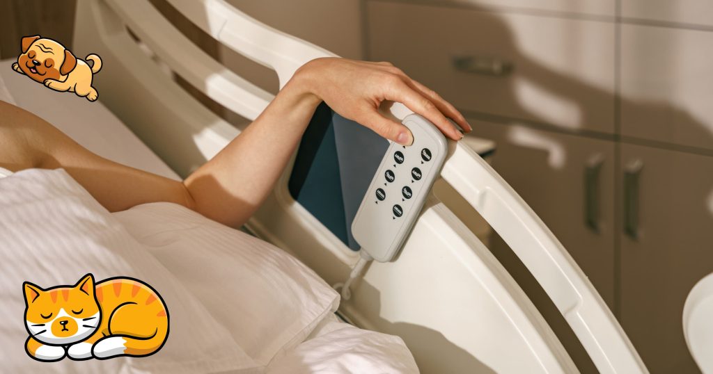 The Top 6 HighlyRated Sheet Sets for Adjustable Beds SleepAnimal